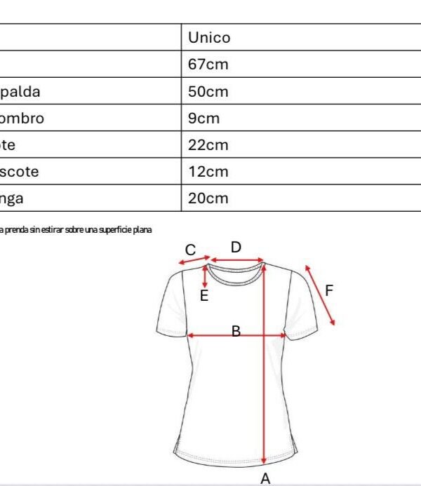 Remera Manga Corta Lycra Puntilla Tacha Broderie Paloma