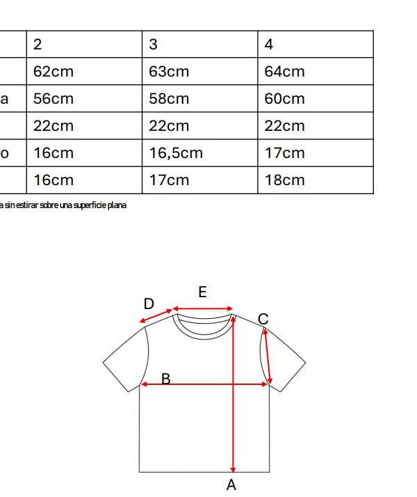 Remera Boxy Sol De Mayo DTF En El Medio SOLCITO