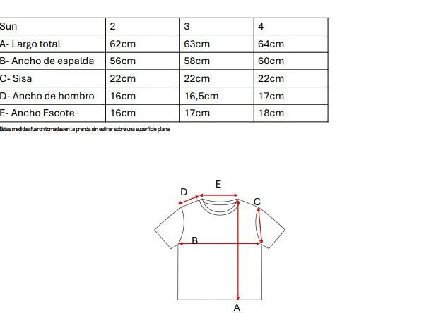 Remera Boxy Jersey Sol De Mayo Lado Izquierdo En DTF Sun