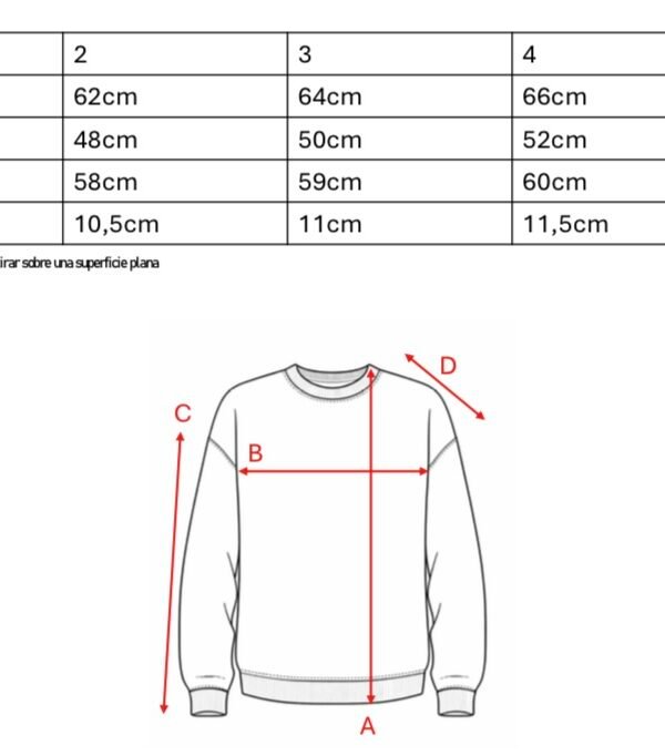 Buzo Frisa Peinada Con Capucha Sol De Mayo DTF "REVOLUCION"