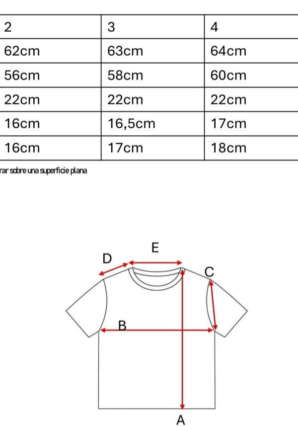 Remera Boxy Jersey Mariposa En El Medio En DTF Argentina