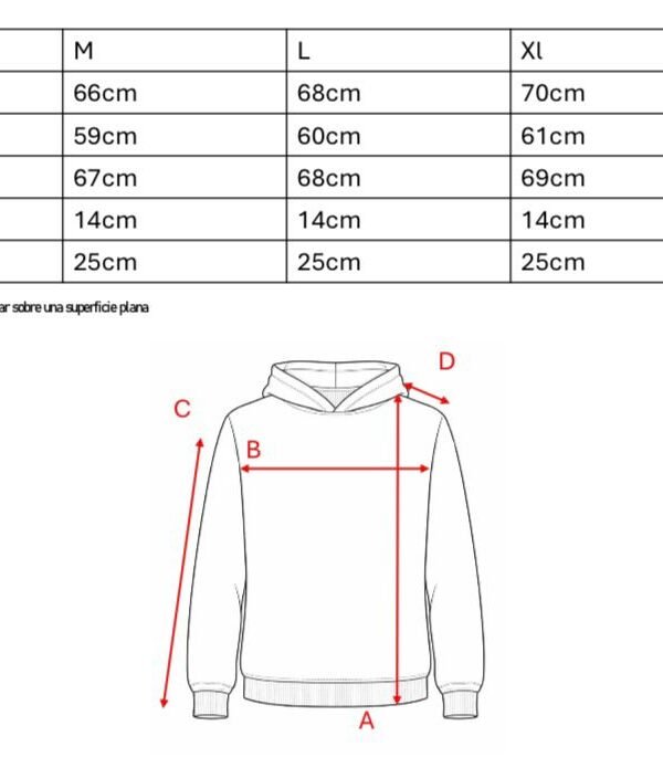 Buzo Frisa Peinado Con Capucha Sol De Mayo Argentina En DTF "BANDERA"