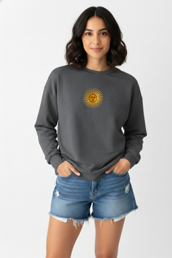 Buzo Rustico Lycra Cuello Redondo Sol De Mayo Argentina Bordado Aires