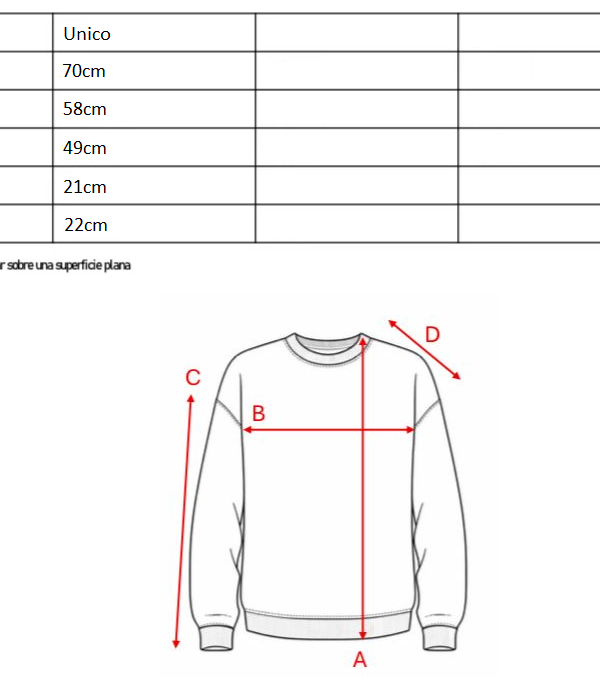 Buzo Rustico Frisado Cuello Redondo Sol De Mayo En DTF "AMELI"