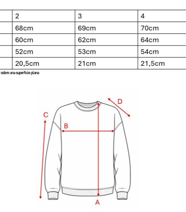 Buzo Rustico Lycra Cuello Redondo Sol De Mayo Argentina Bordado "AIRES"