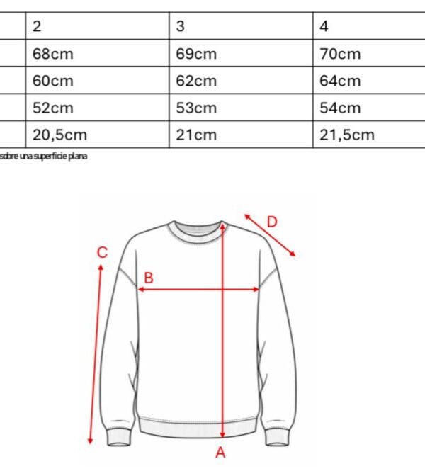 Buzo Rustico Lycra Cuello Redondo Combinado Sol De Mayo Bordado “ARGENTINO”
