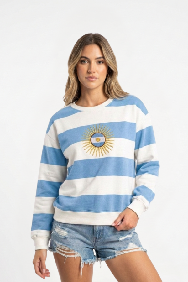 Buzo Frisado Cuello Redondo Rayado Sol De Mayo Centro Bandera Bordado "DINAMICO"