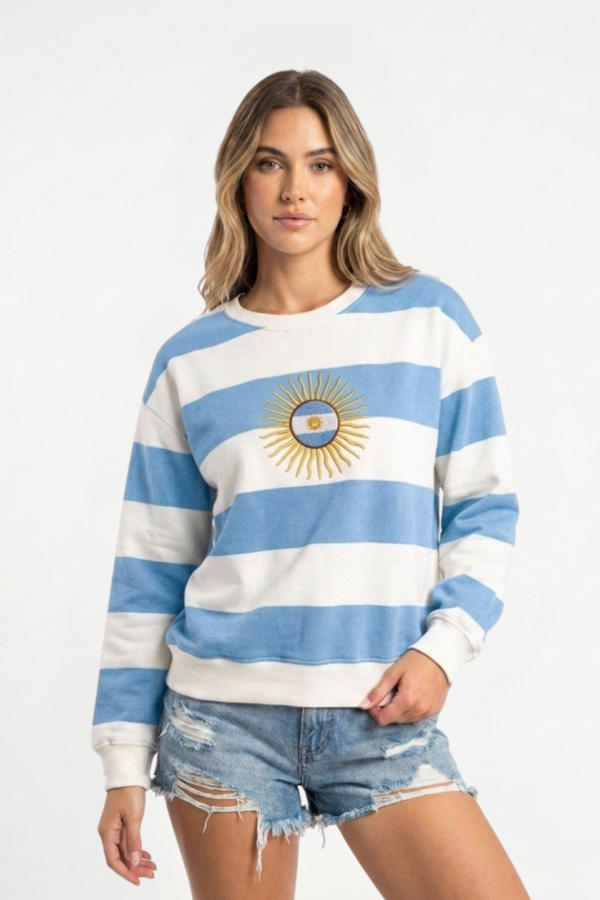 Buzo Frisado Cuello Redondo Rayado Sol De Mayo Centro Bandera Bordado "DINAMICO"