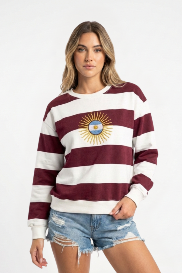 Buzo Frisado Cuello Redondo Rayado Sol De Mayo Centro Bandera Bordado "DINAMICO"