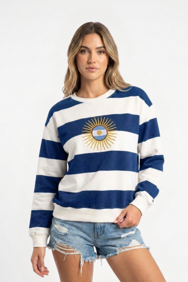 Buzo Frisado Cuello Redondo Rayado Sol De Mayo Centro Bandera Bordado "DINAMICO"