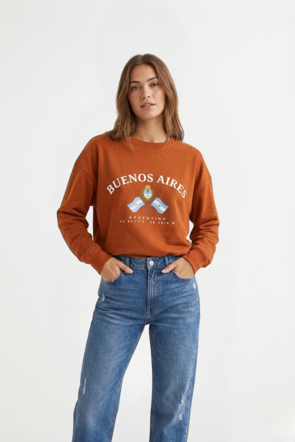 Buzo Rustico Frisado Cuello Redondo Buenos Aires Escudo Y 2 Banderas En DTF "LENA"